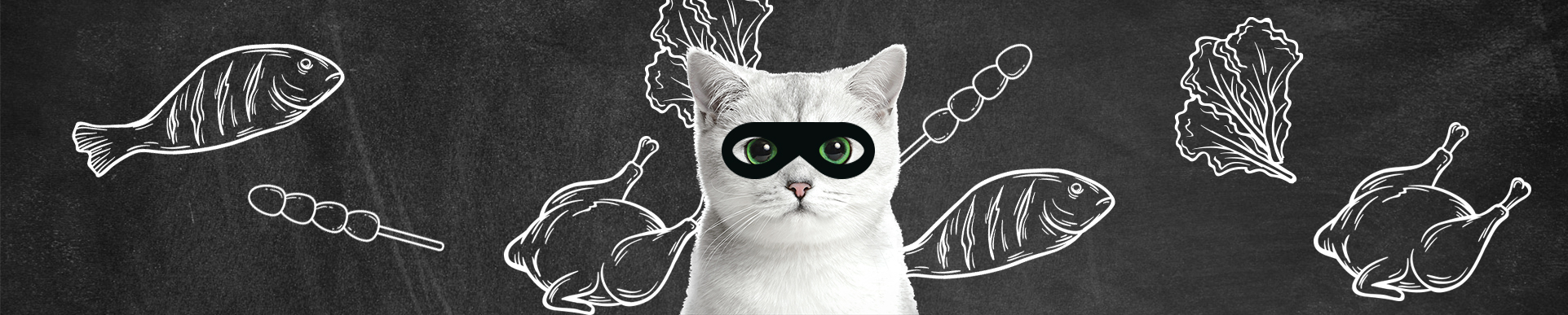 chat voleur